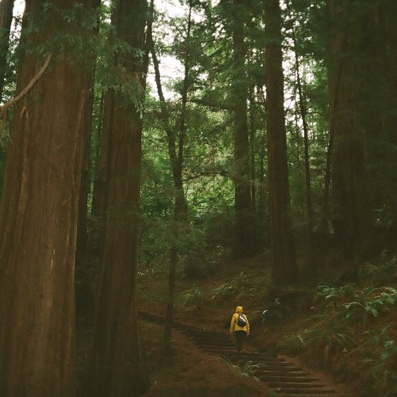 Meet your Posher, Cj - Picture 1 of 1